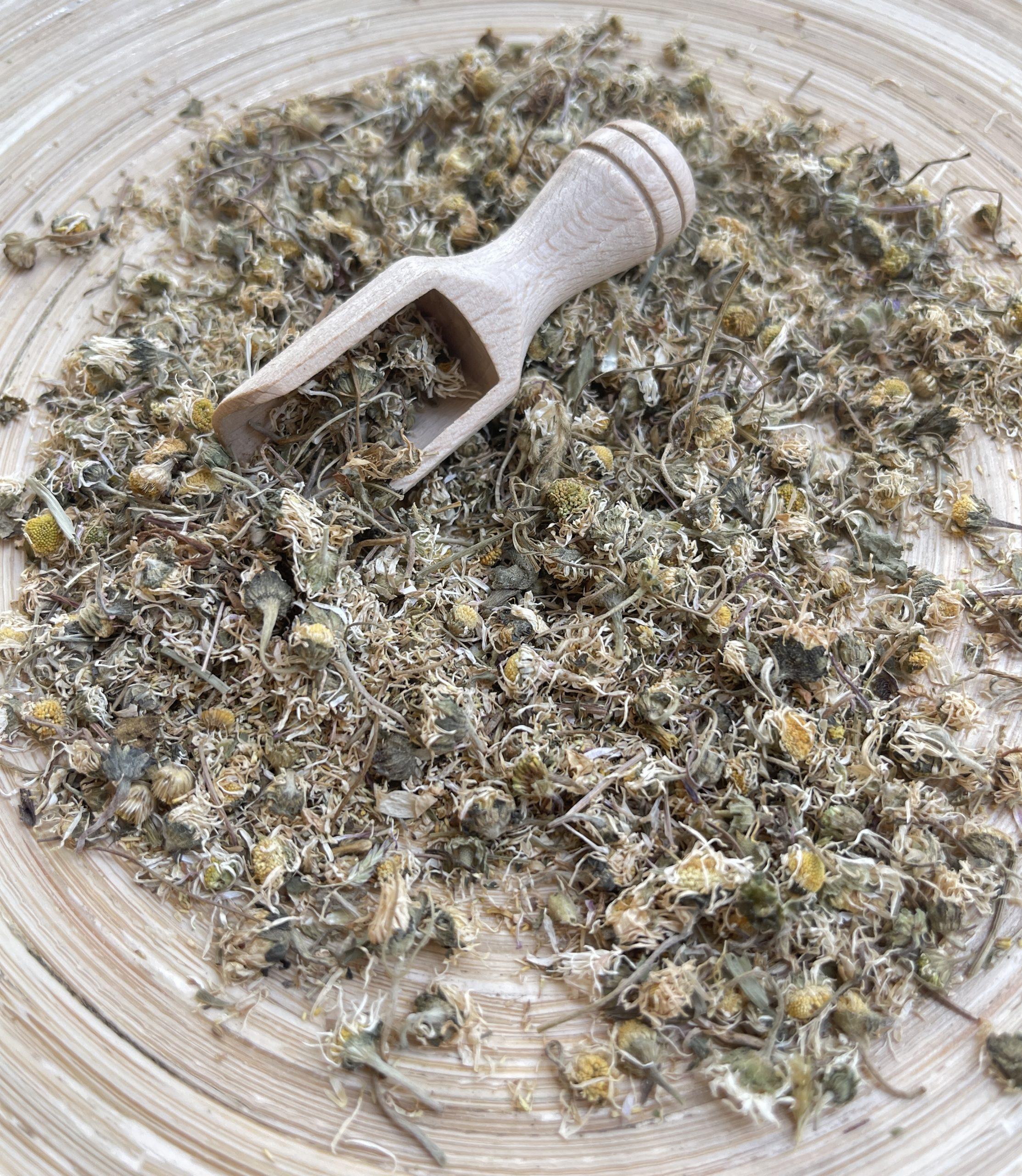 Gänseblümchen, Bio