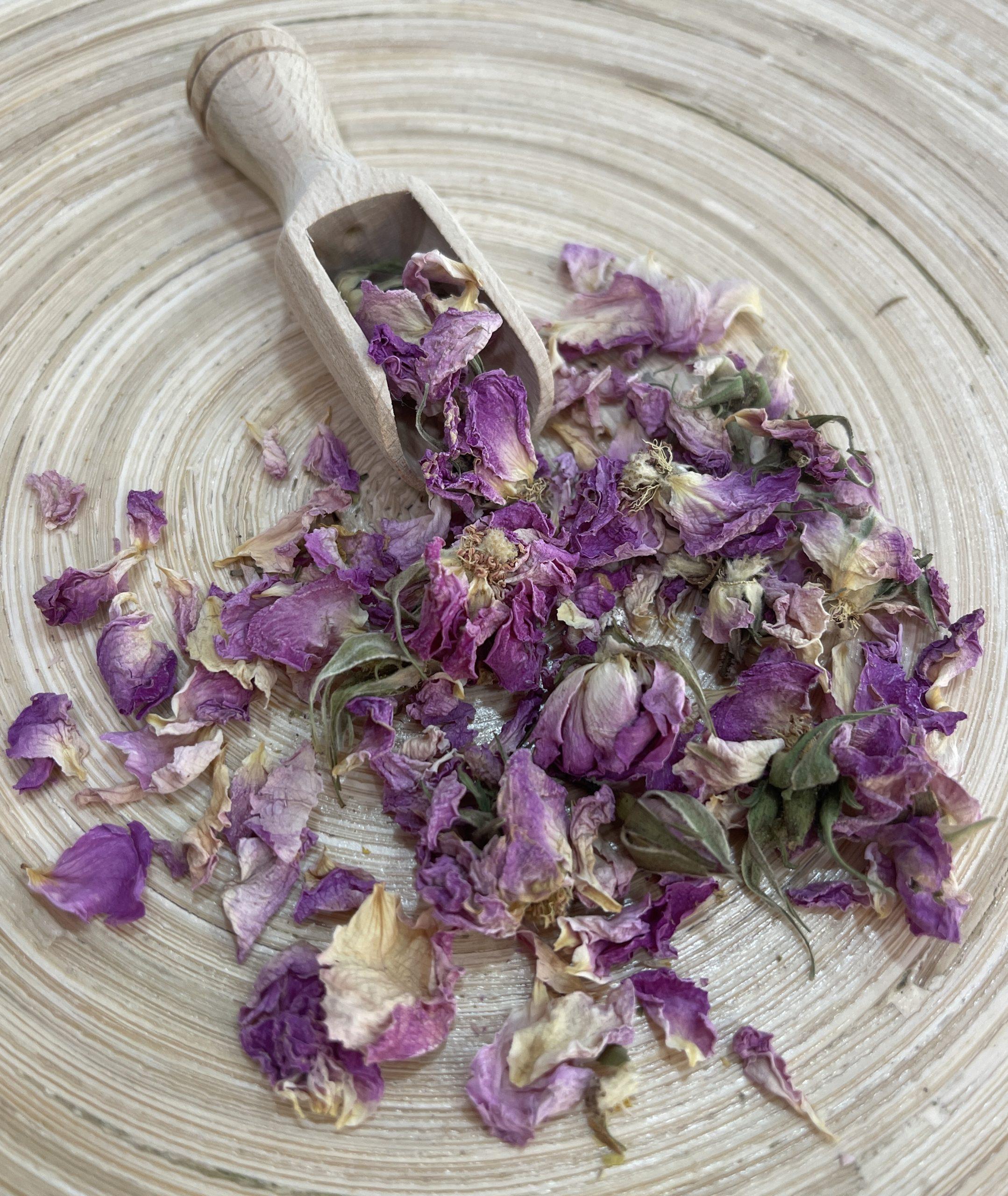 Rosenblütenblätter, ganz