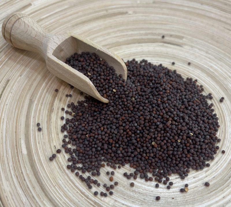 Senfkörner braun/schwarz ganz, Bio